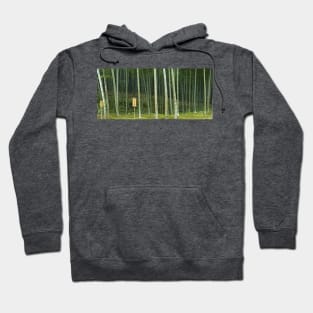 Bamboo Forest Panorama - Japan Hoodie
